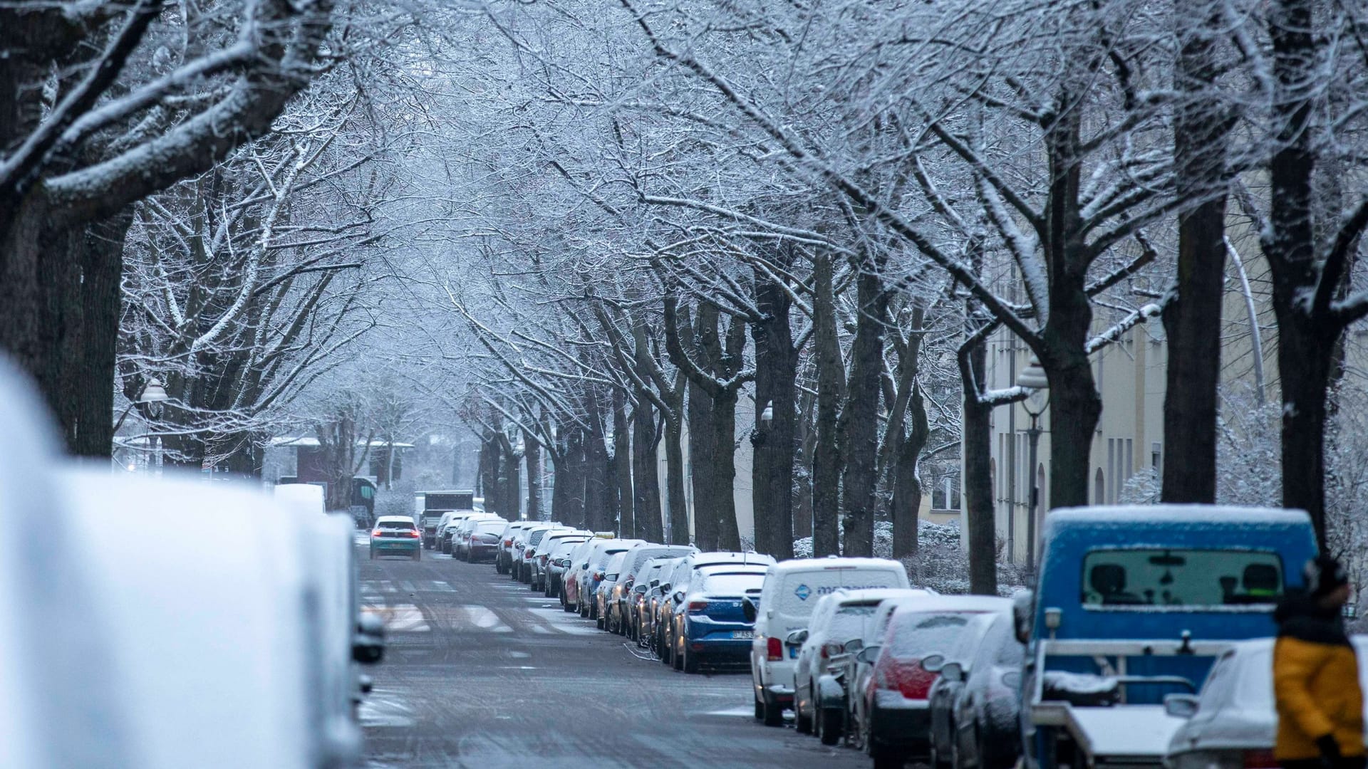 Schneefall in Berlin (Symbolbild): In der Hauptstadt und fast dem gesamten Nordosten der Republik kann es an diesem Wochenende schneien.