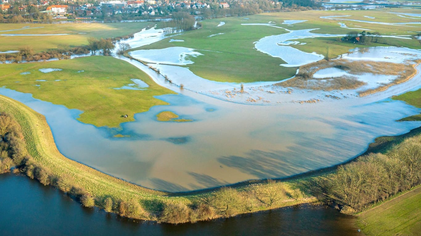 Hochwasser am Fluss Aller bei Verden (Archivfoto): "Teilweise haben Spaziergänger mit ihren Hunden die scheuen Rehe sehenden Auges wieder ins Wasser getrieben", kritisieren Naturschützer.