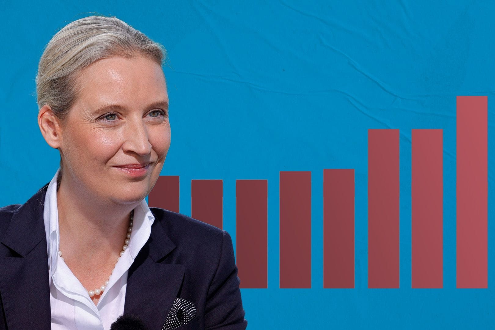 Weidel und die AfD: So hat sich die Partei in den vergangenen zwei Jahren entwickelt.