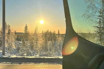 Blick aus dem Auto (Archivbild): Die Sonne scheint auf einen Wald in Schweden.