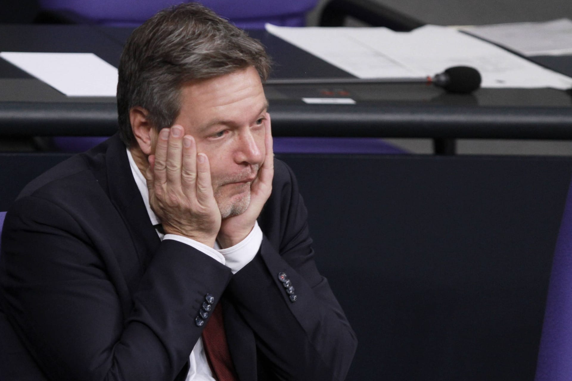 Wirtschaftsminister Robert Habeck (Archivbild): Vor allem Anhänger der AfD und CDU sind für Neuwahlen.