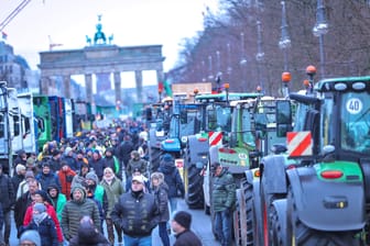Bauernprotest in Berlin: Nach den Demonstrationen haben die Grünen nun einen Vorschlag.