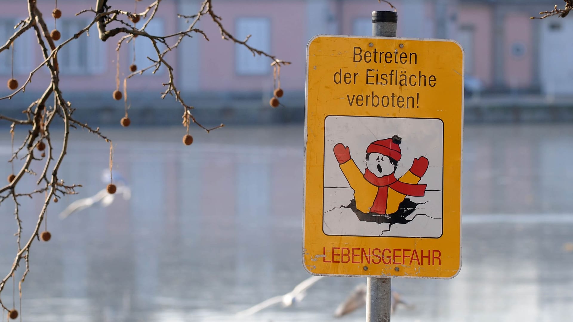 Warnung vor Betreten der Eisfläche am Schloss Benrath in Düsseldorf (Archivbild): Immer mehr Gewässer frieren aufgrund der eisigen Temperaturen zu. Warnung vor Betreten der Eisfläche am Schloss Benrath in Düsseldorf (Archivbild): Immer mehr Gewässer frieren aufgrund der eisigen Temperaturen zu.
