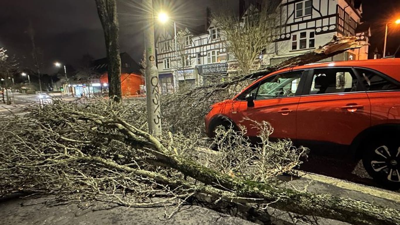Sturm über Irland: In der nordirischen Hauptstadt Belfast sind mehrere Bäume umgestürzt.