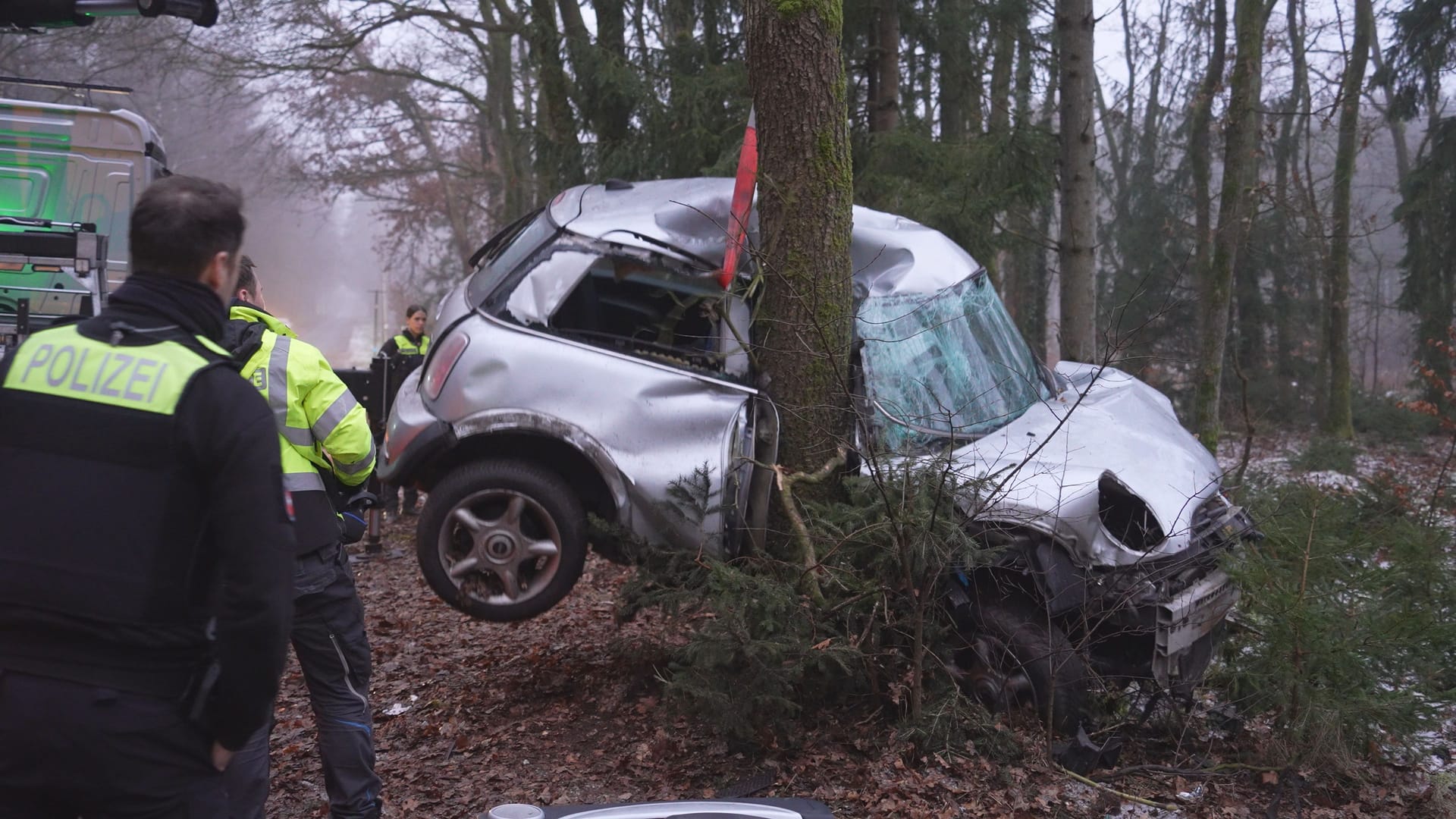 Der Mini wurde massiv gegen den Baum gedrückt.