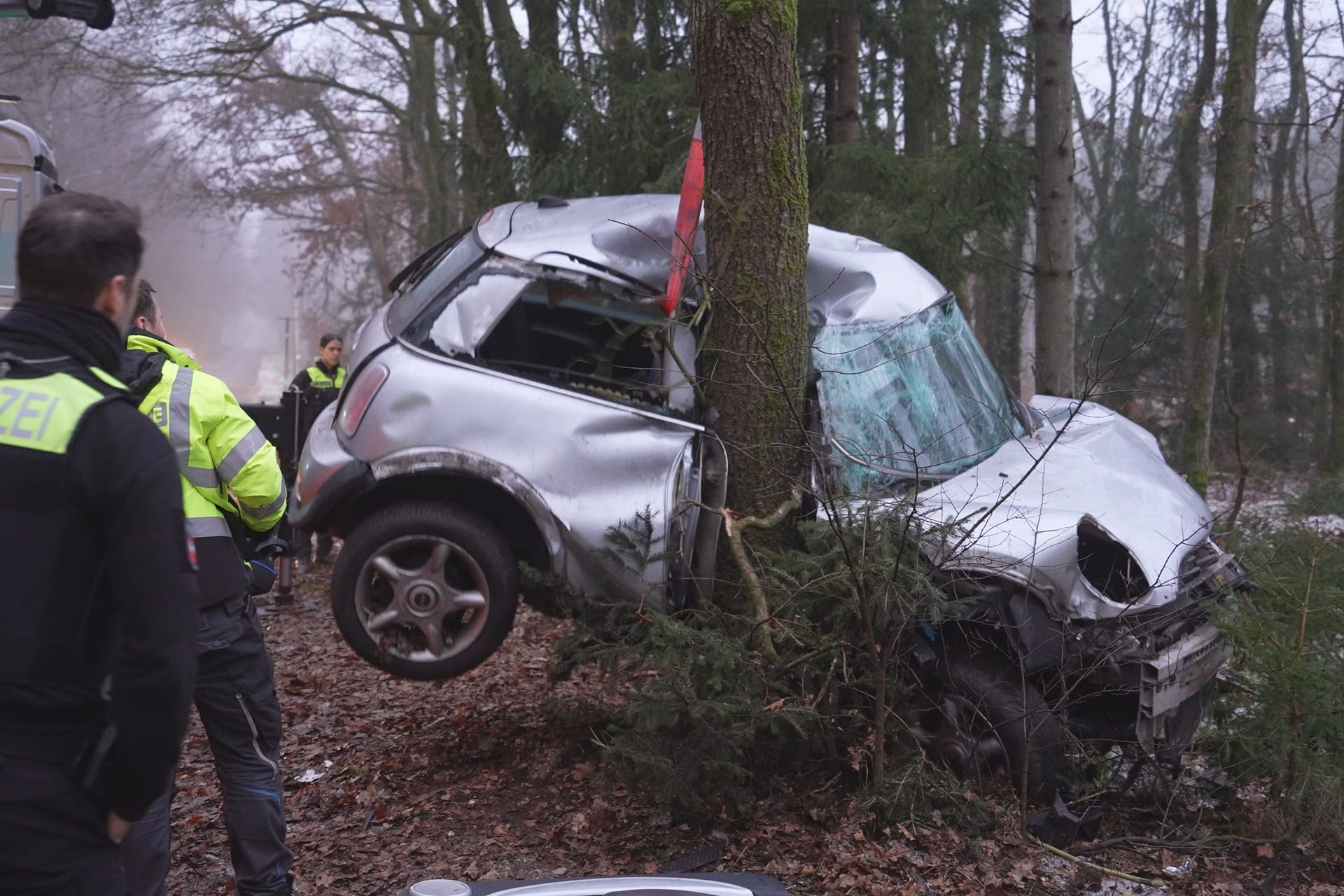 Der Mini wurde massiv gegen den Baum gedrückt.