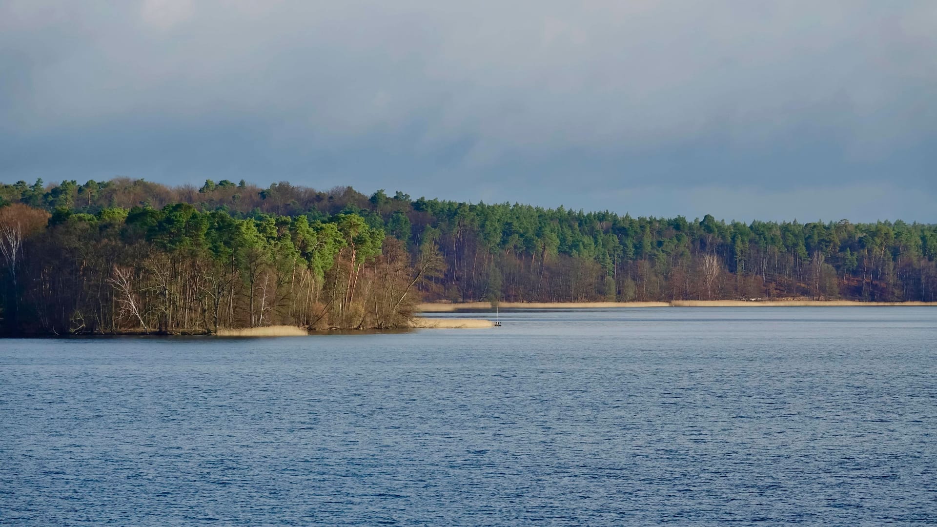 Brandenburg: Im Werbellinsee fanden Taucher eine tote Frau.