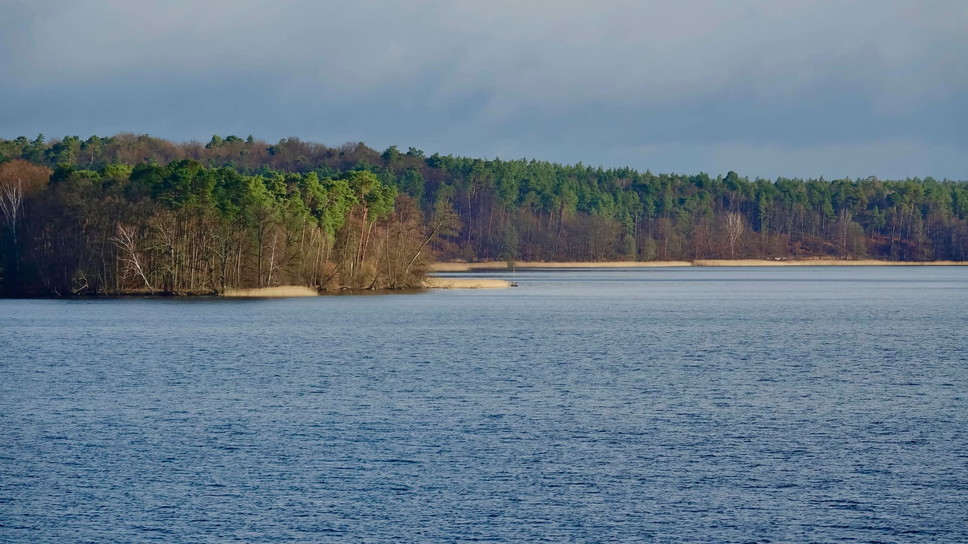 Brandenburg: Im Werbellinsee fanden Taucher eine tote Frau.
