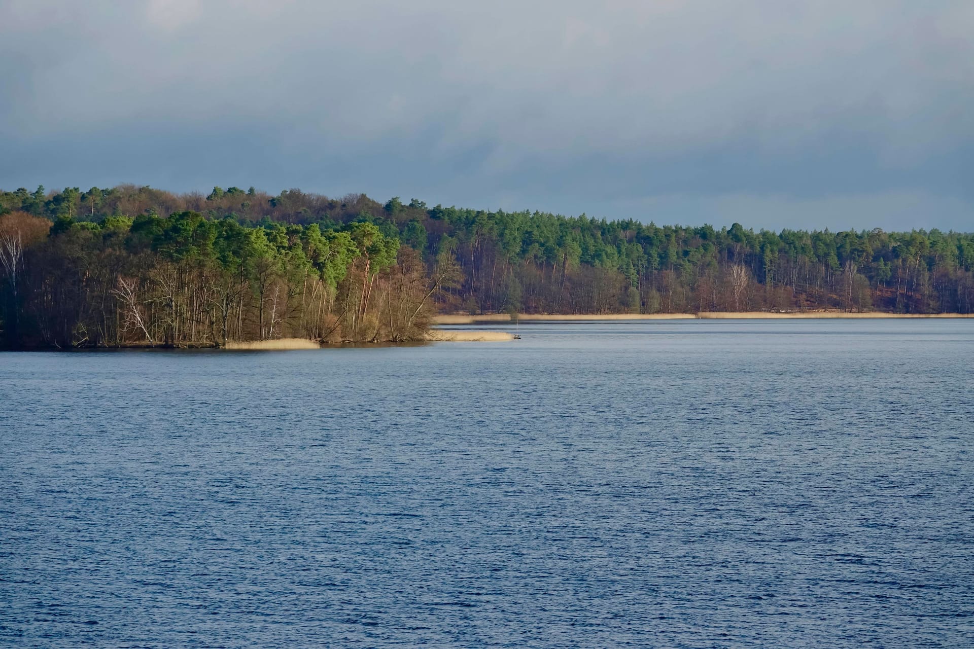 Brandenburg: Im Werbellinsee fanden Taucher eine tote Frau.