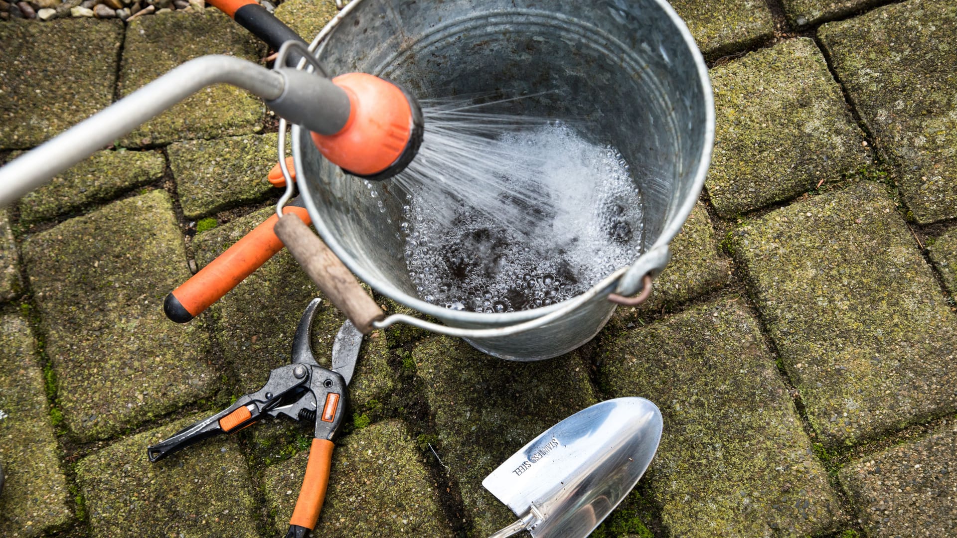 Alles sauber? Jetzt ist Gelegenheit, das Gartenwerkzeug zu reinigen.