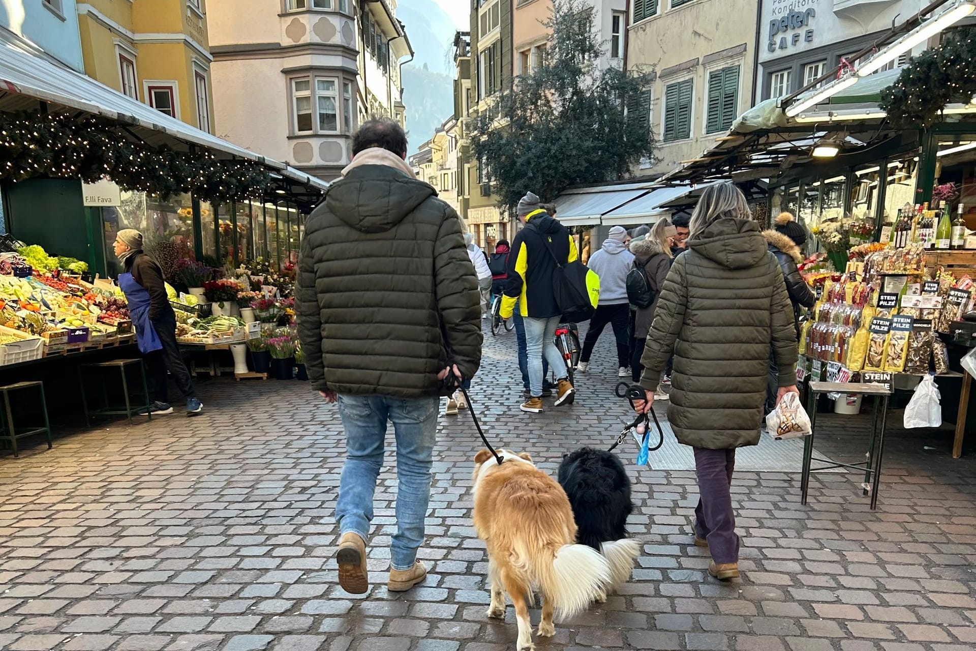 Hunde in Bozen