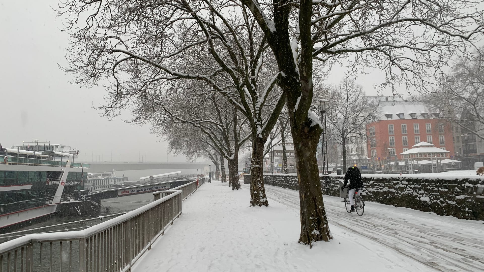 Rheinufer in Köln: Nach dem heftigen Schneefall am Mittwoch sind nur wenige Fußgänger unterwegs.