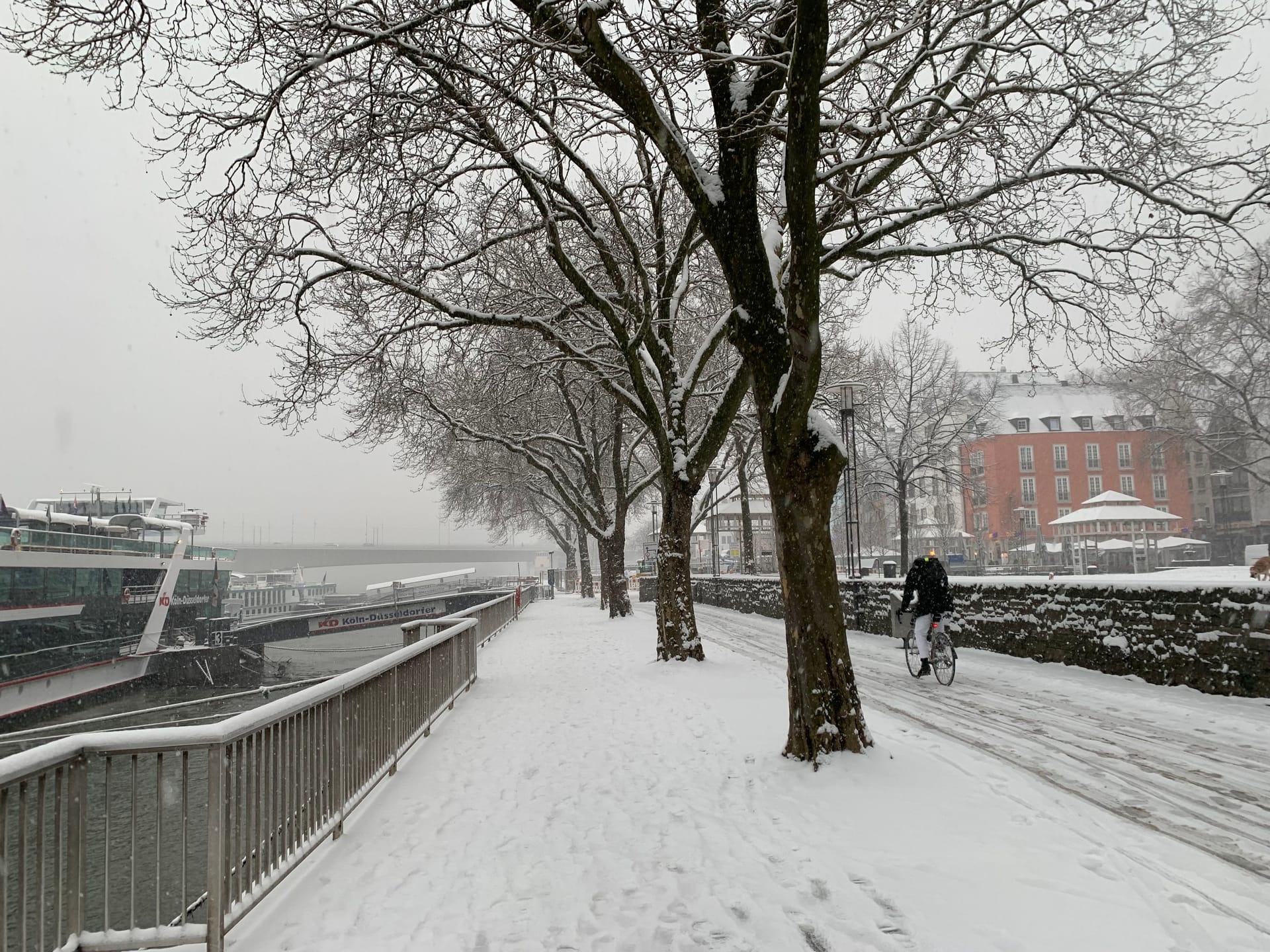 Rheinufer in Köln: Nach dem heftigen Schneefall am Mittwoch sind nur wenige Fußgänger unterwegs.