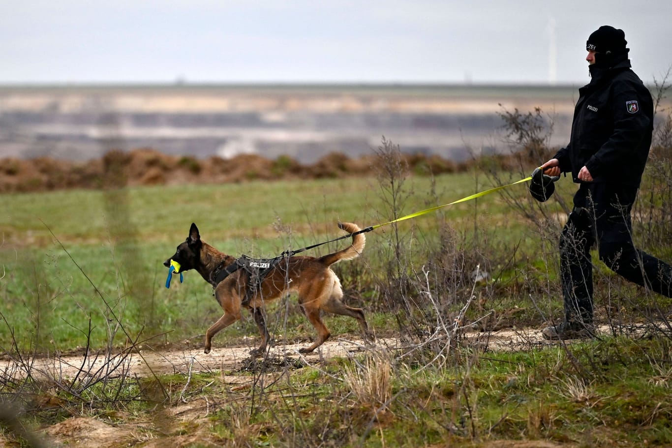 Polizeihund im Einsatz (Symbolbild): An der Wiese in Haiger suchte die Polizei auch mit Hunden.
