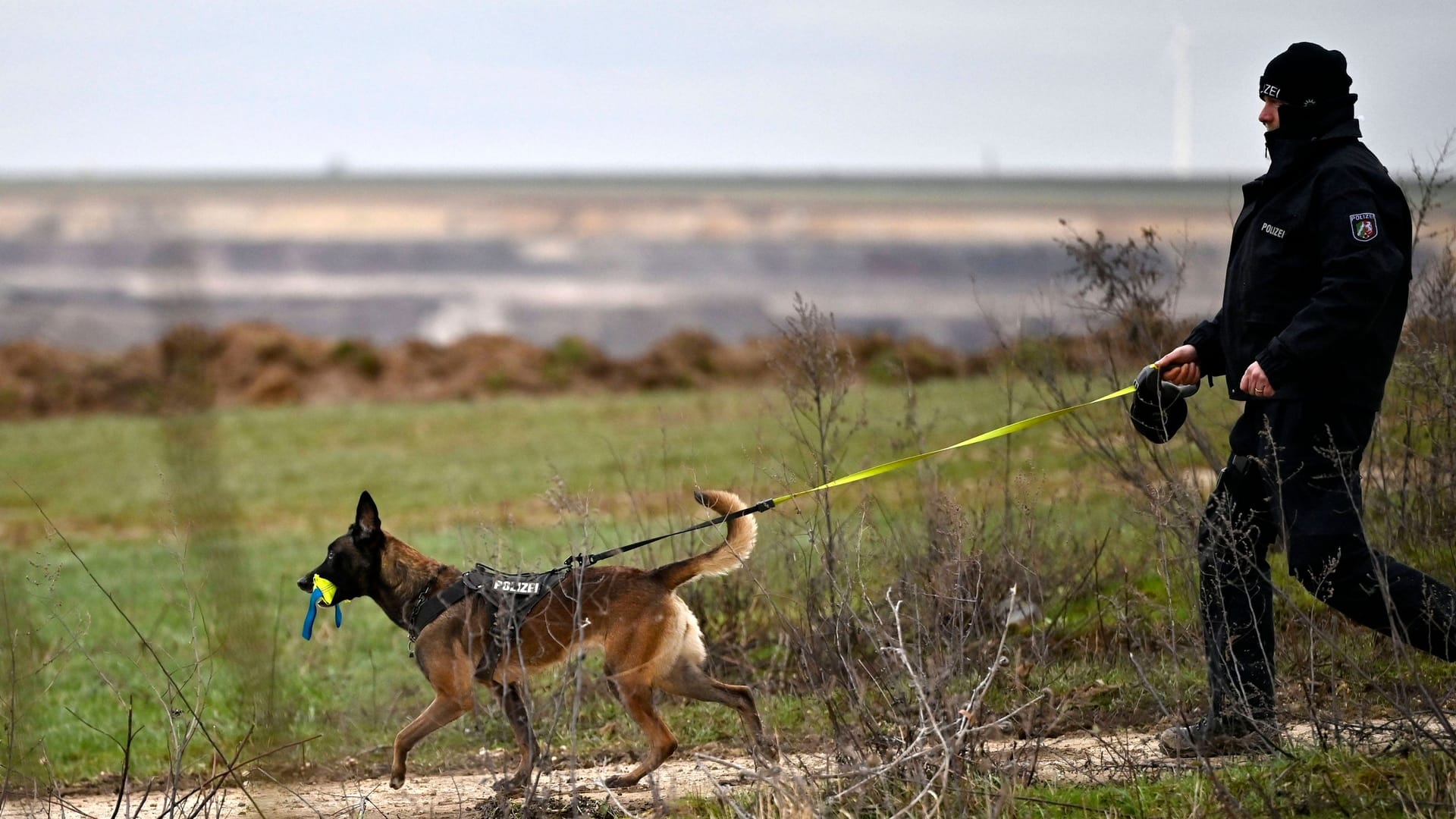 Polizeihund im Einsatz (Symbolbild): An der Wiese in Haiger suchte die Polizei auch mit Hunden.