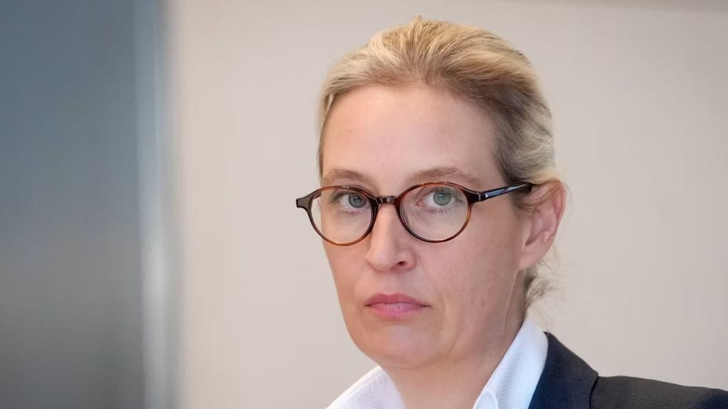 Im Umfeld von AfD-Chefin Alice Weidel werden verfassungsfeindliche Pläne geschmiedet.