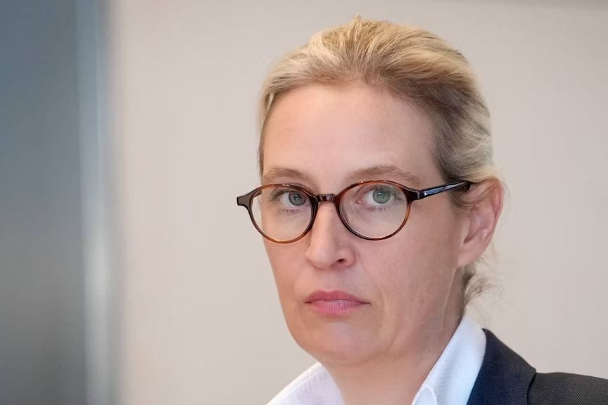 Im Umfeld von AfD-Chefin Alice Weidel werden verfassungsfeindliche Pläne geschmiedet.