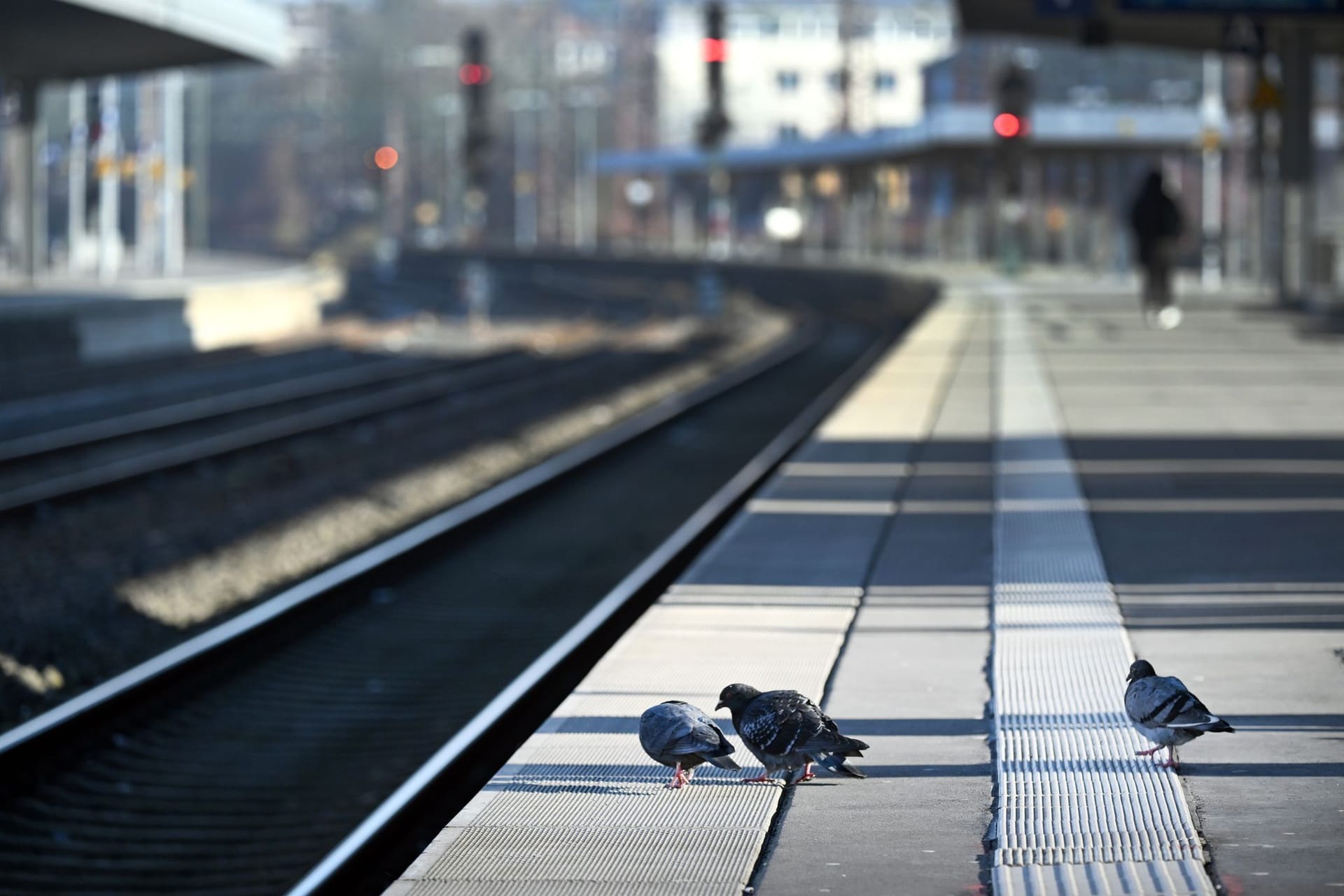 Tauben sitzen auf einem Bahnsteig (Symbolfoto): Für Bahnreisende in Niedersachsen gibt es erfreuliche Nachrichten.