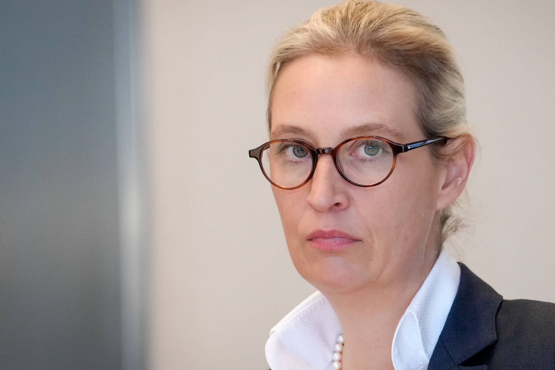 Alice Weidel (Archivbild): Immer wieder steht im Raum, ob die AfD verboten werden sollte.