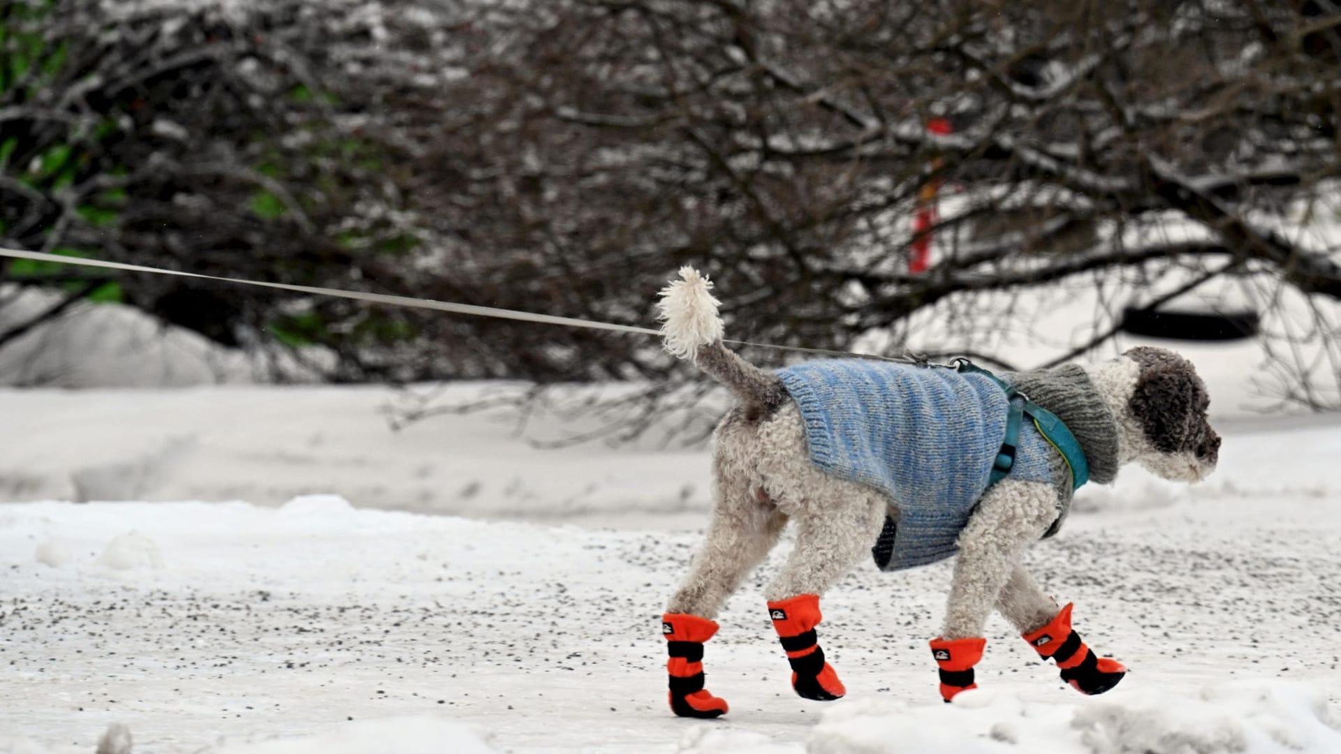 Schnee in Finnland