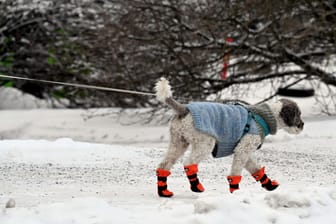 Schnee in Finnland