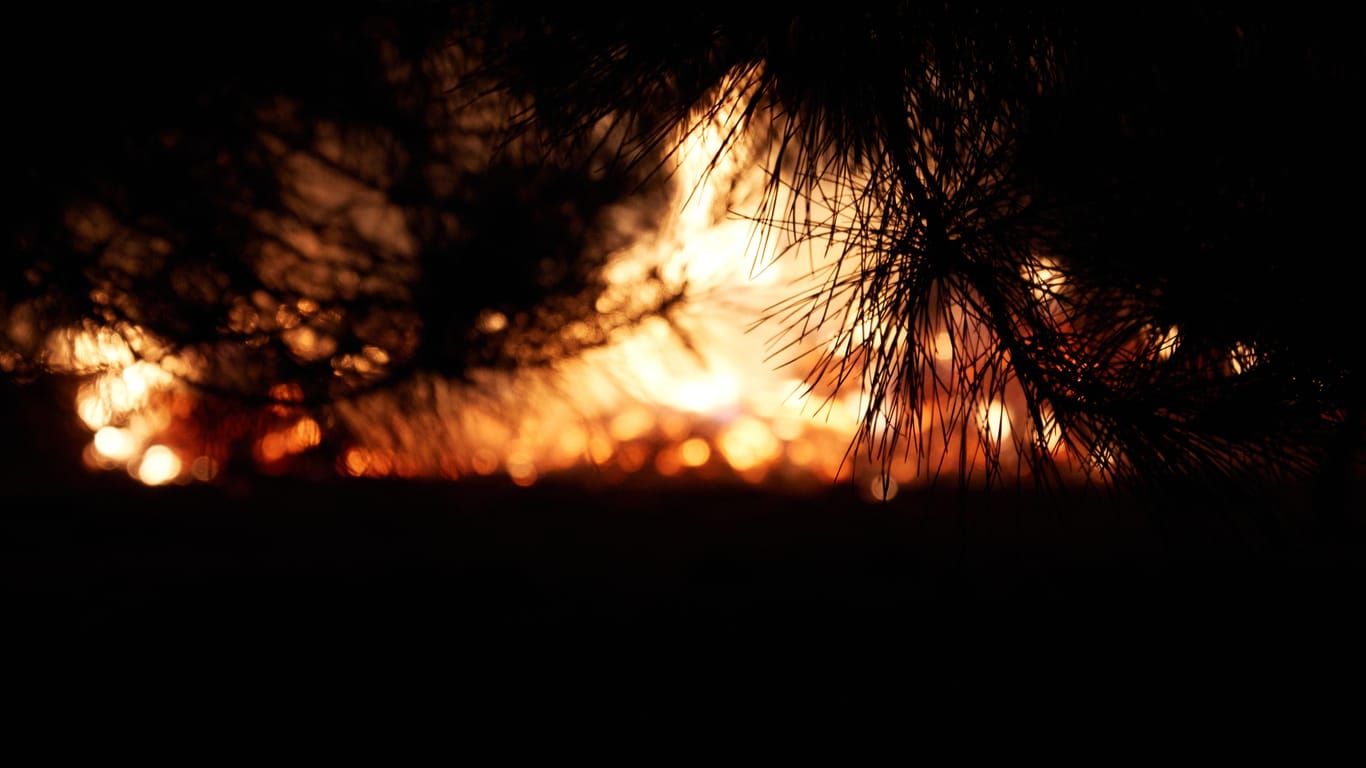 Feuer im Busch von Australien (Archivbild): Ein großes Feuer nähert sich der Stadt Perth.