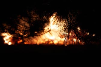 Feuer im Busch von Australien (Archivbild): Ein großes Feuer nähert sich der Stadt Perth.
