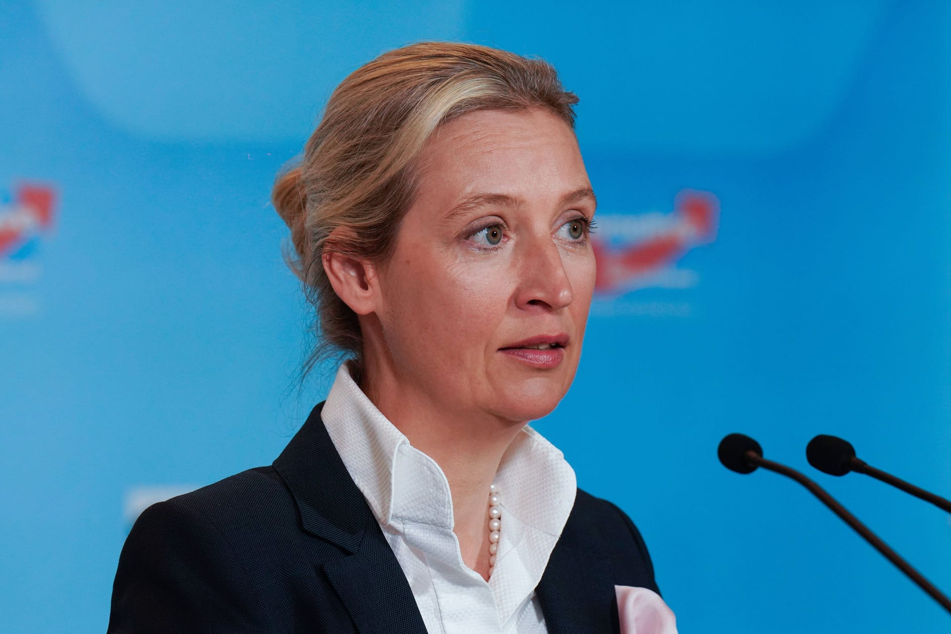 Alice Weidel (Archivbild):