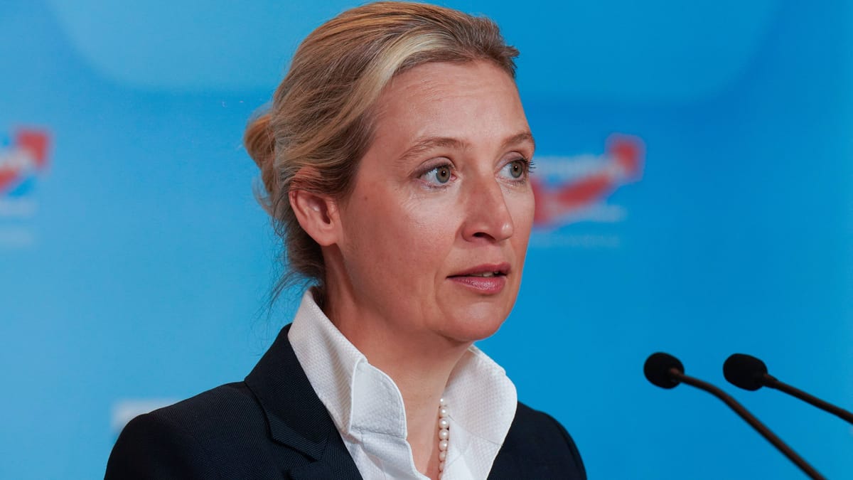 AfD Und EU: Alice Weidel Zieht "Dexit"-Referendum In Erwägung