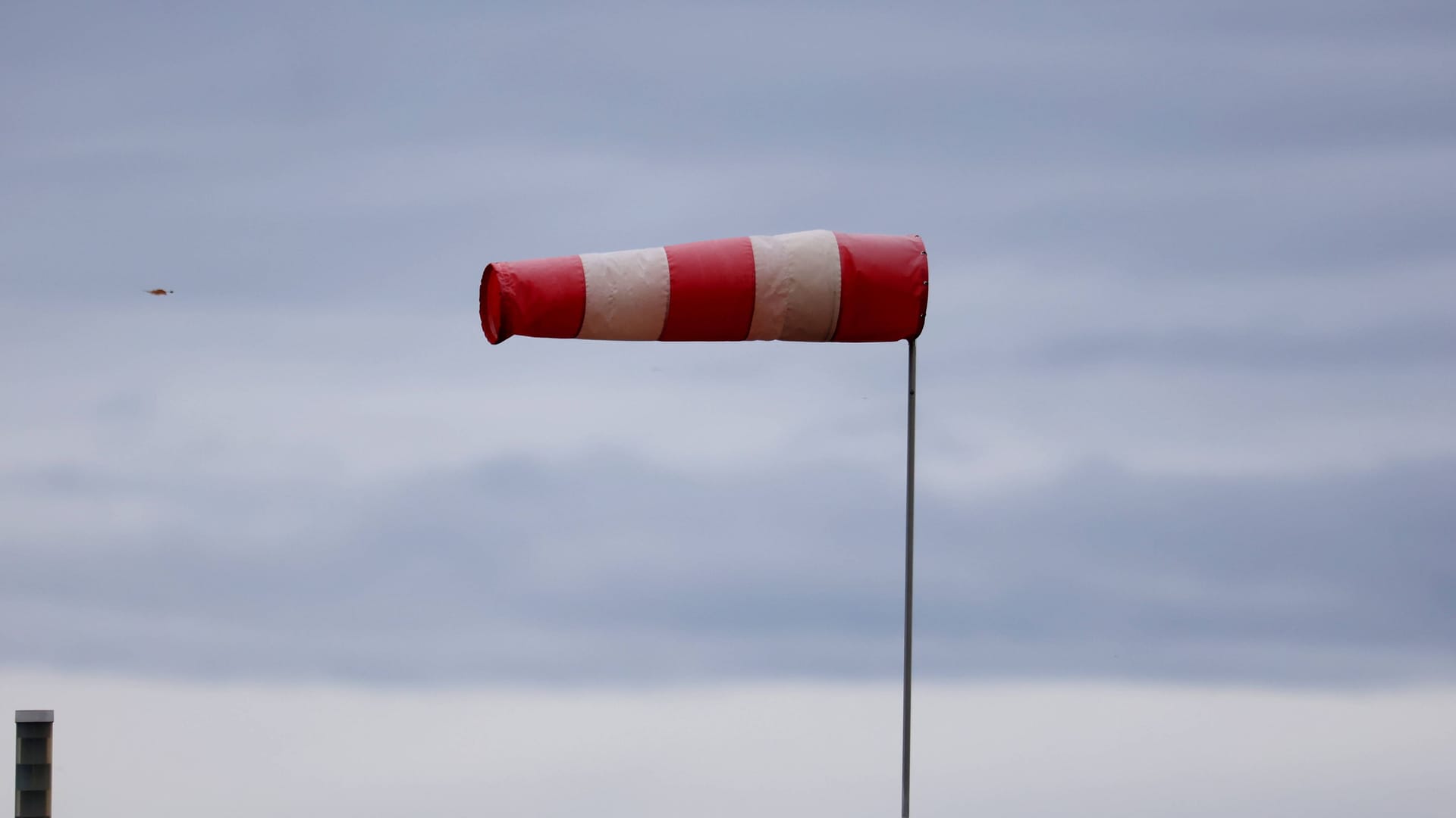 Windbeutel im Wind (Symbolbild): Ein Sturm fegt über Niedersachsen.