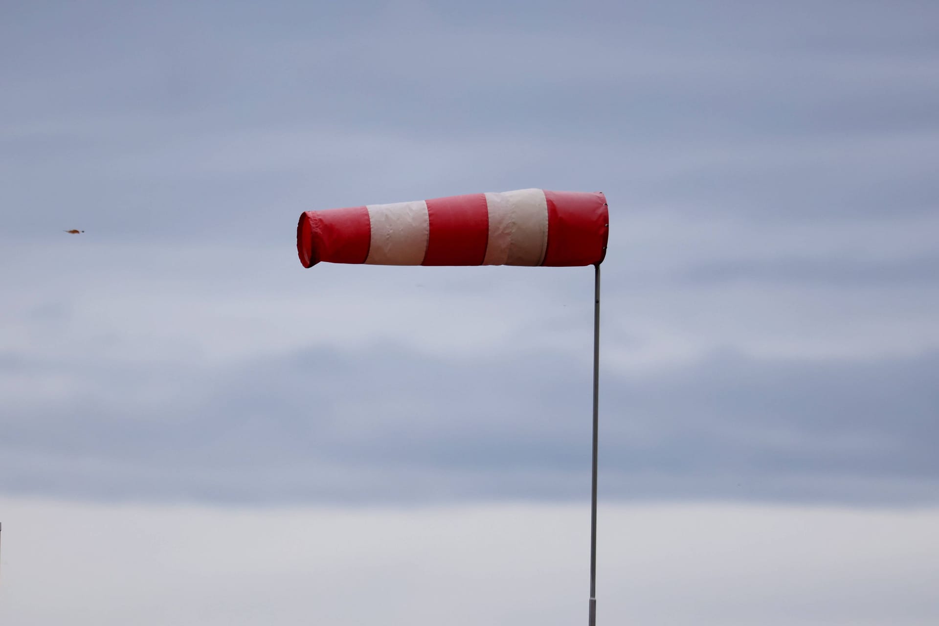 Windbeutel im Wind (Symbolbild): Ein Sturm fegt über Niedersachsen.