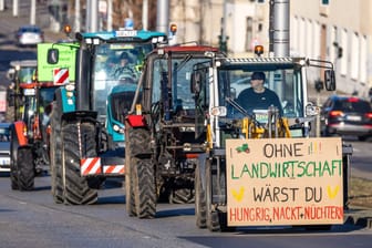 Landwirte fahren mit Traktoren durch Cottbus: Viele Bauern beteiligen sich an einer Protestwoche.