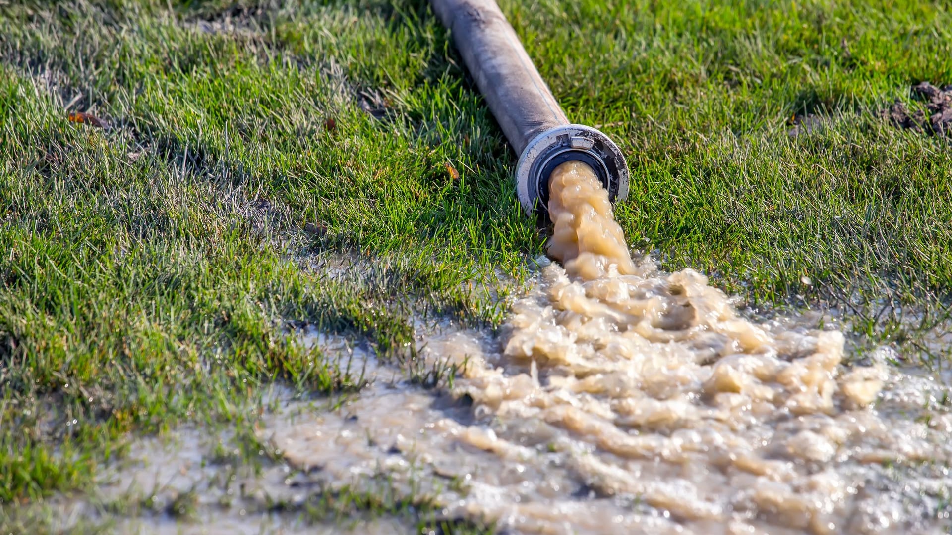 Wasserpumpe: Die Geräte können Sie kaufen, aber auch im Baumarkt leihen.