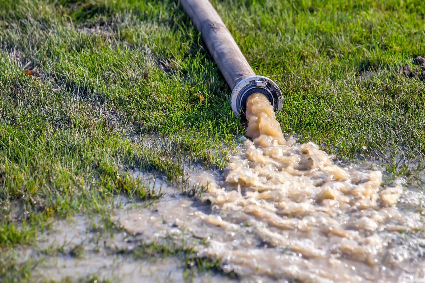 Wasserpumpe: Die Geräte können Sie kaufen, aber auch im Baumarkt leihen.