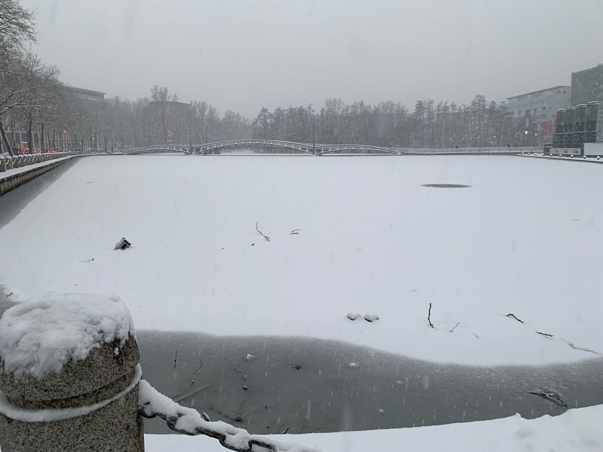 Herrliches Winterpanorama in Köln. Viele Seen sind zugefroren, wie hier im Mediapark.