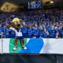 Handball-EM: Ist München damit reif für Olympia? Ein Empfehlungsschreiben