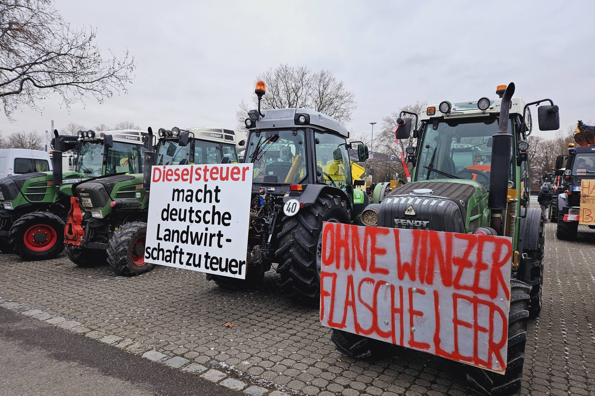 Zahlreiche Protestteilnehmer versammeln sich auf dem Cannstatter Wasen.