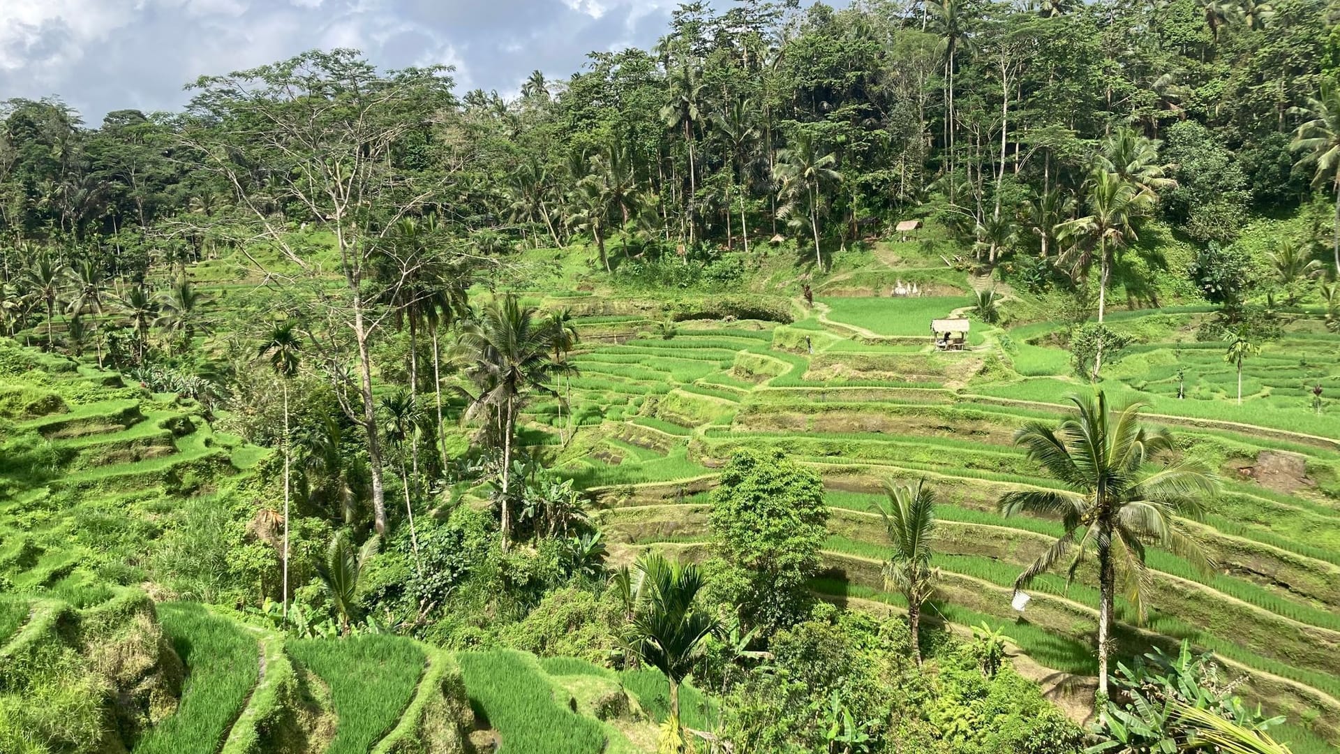 Bali