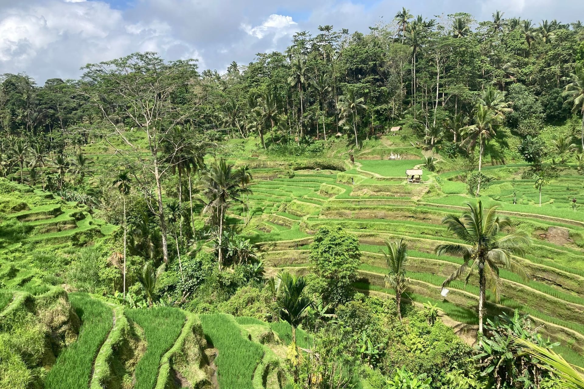 Bali