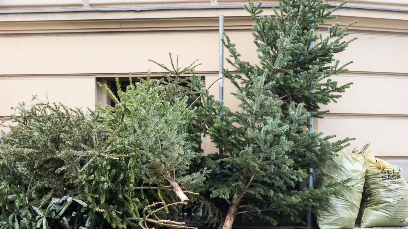 Für Frankfurter gibt es zwei verschiedene Optionen, um ihren Weihnachtsbaum zu entsorgen (Symbolfoto).