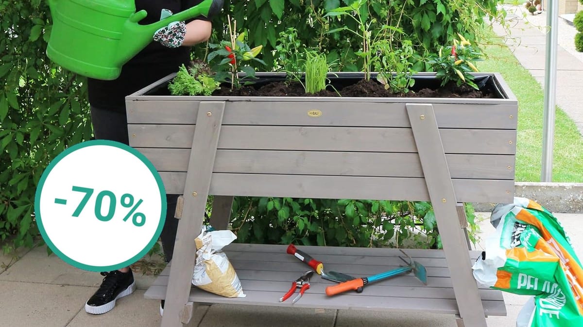 Angebot bei Lidl Hochbeet von Habau zum Rekordpreis für unter 50 Euro