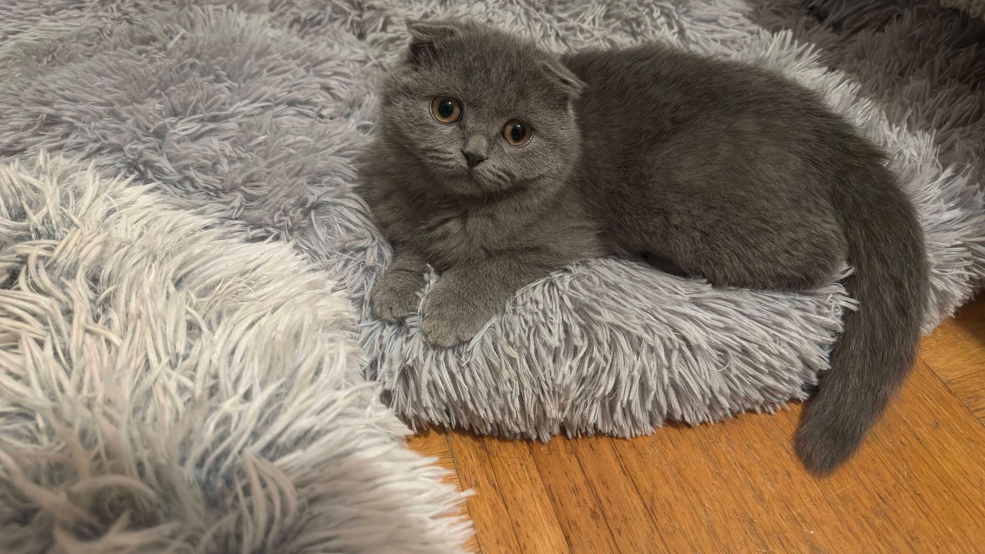 imago images 0380662151 imago images 0380662151