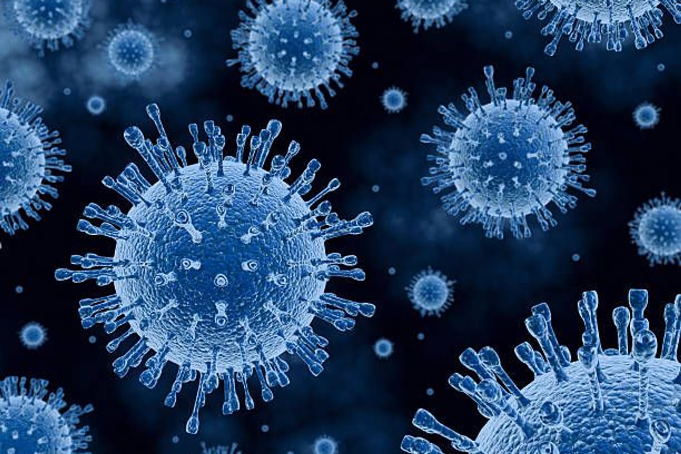 Viren (Symbolbild): Der Erreger H1N1 nistet sich in den Atemwegen ein.