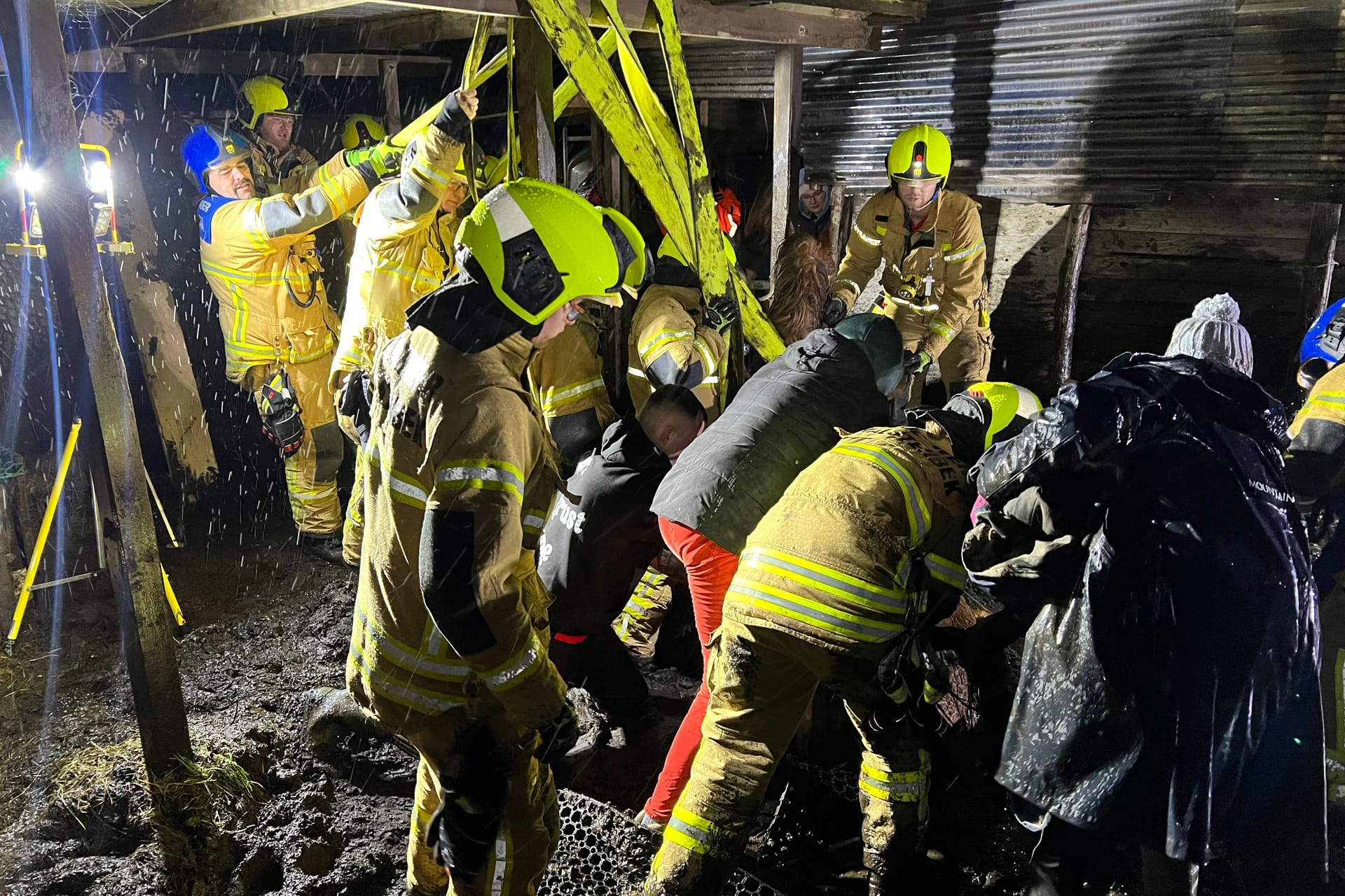 Rettungsversuche in Halstenbek: Nach mehreren Stunden konnte das Pferd nur noch eingeschläfert werden.