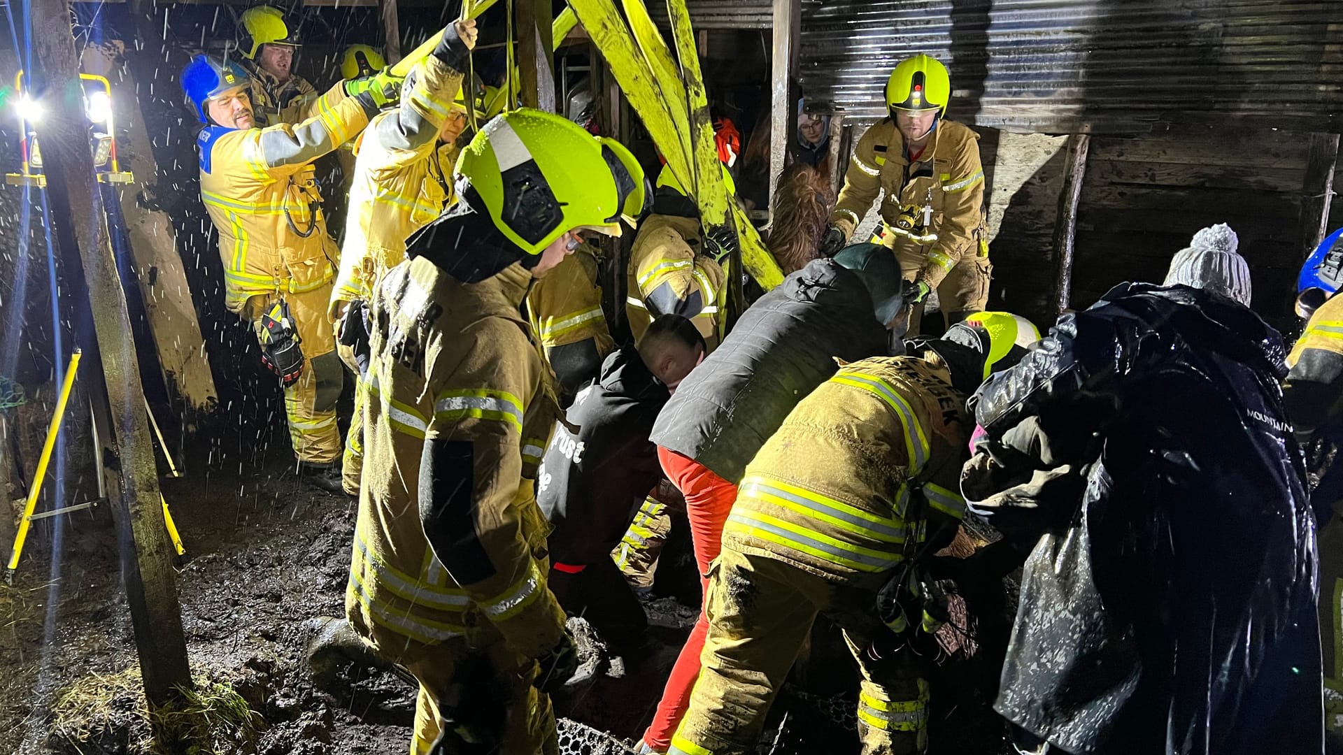 Rettungsversuche in Halstenbek: Nach mehreren Stunden konnte das Pferd nur noch eingeschläfert werden.