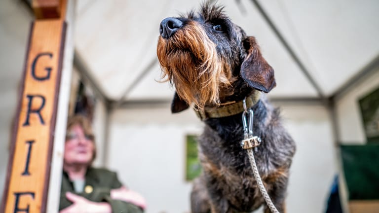 Messe "Jagd und Hund" startet in Dortmund