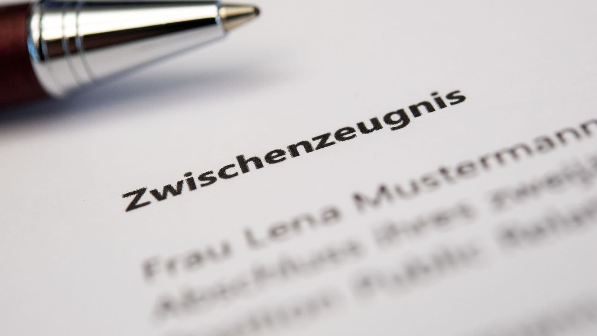 Zwischenzeugnis