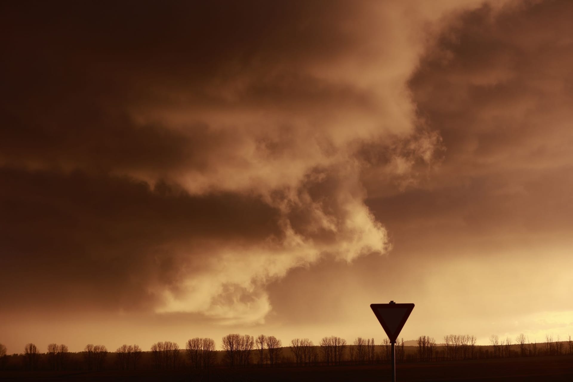 Sturm im Harz