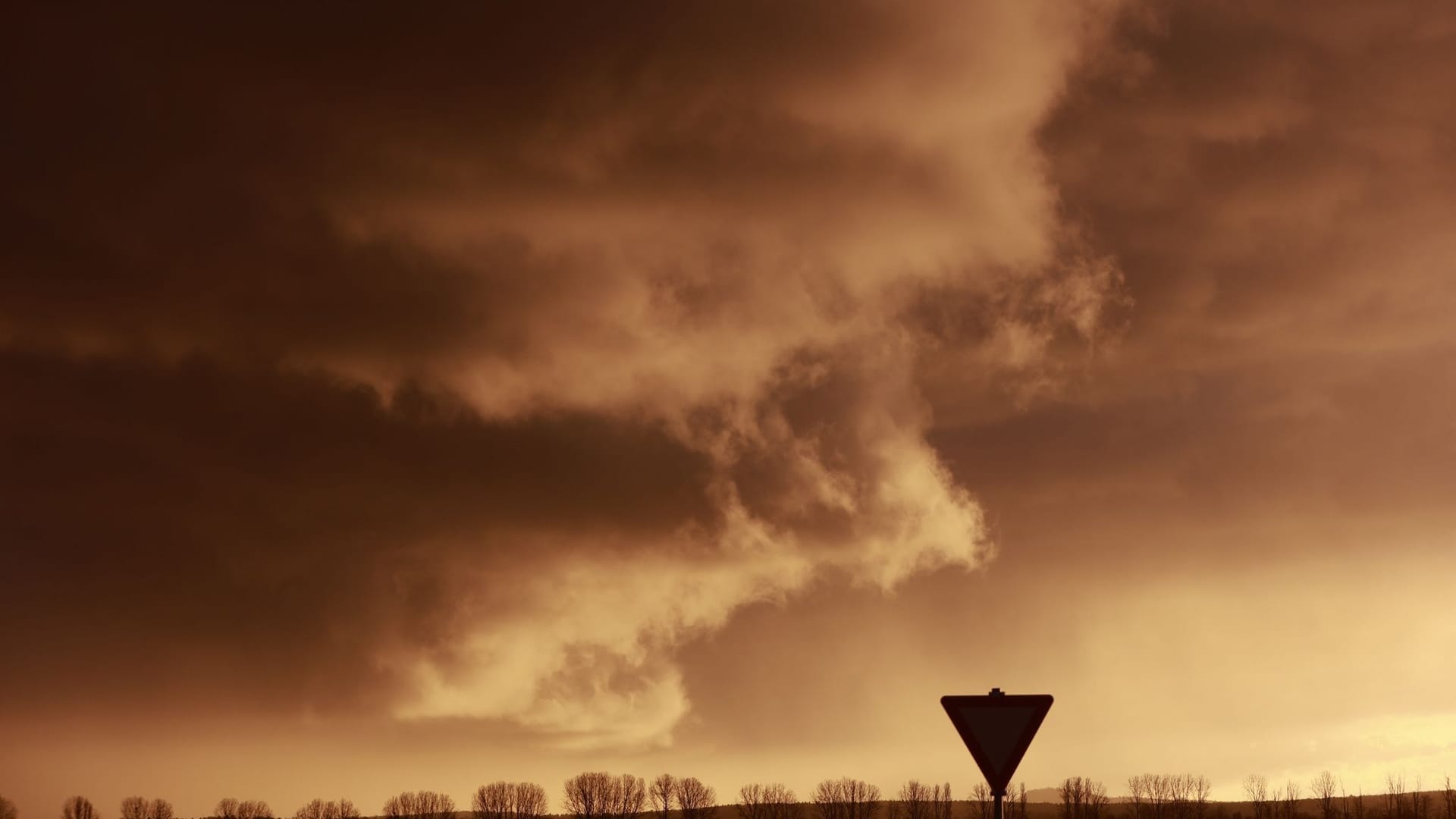 Sturm im Harz