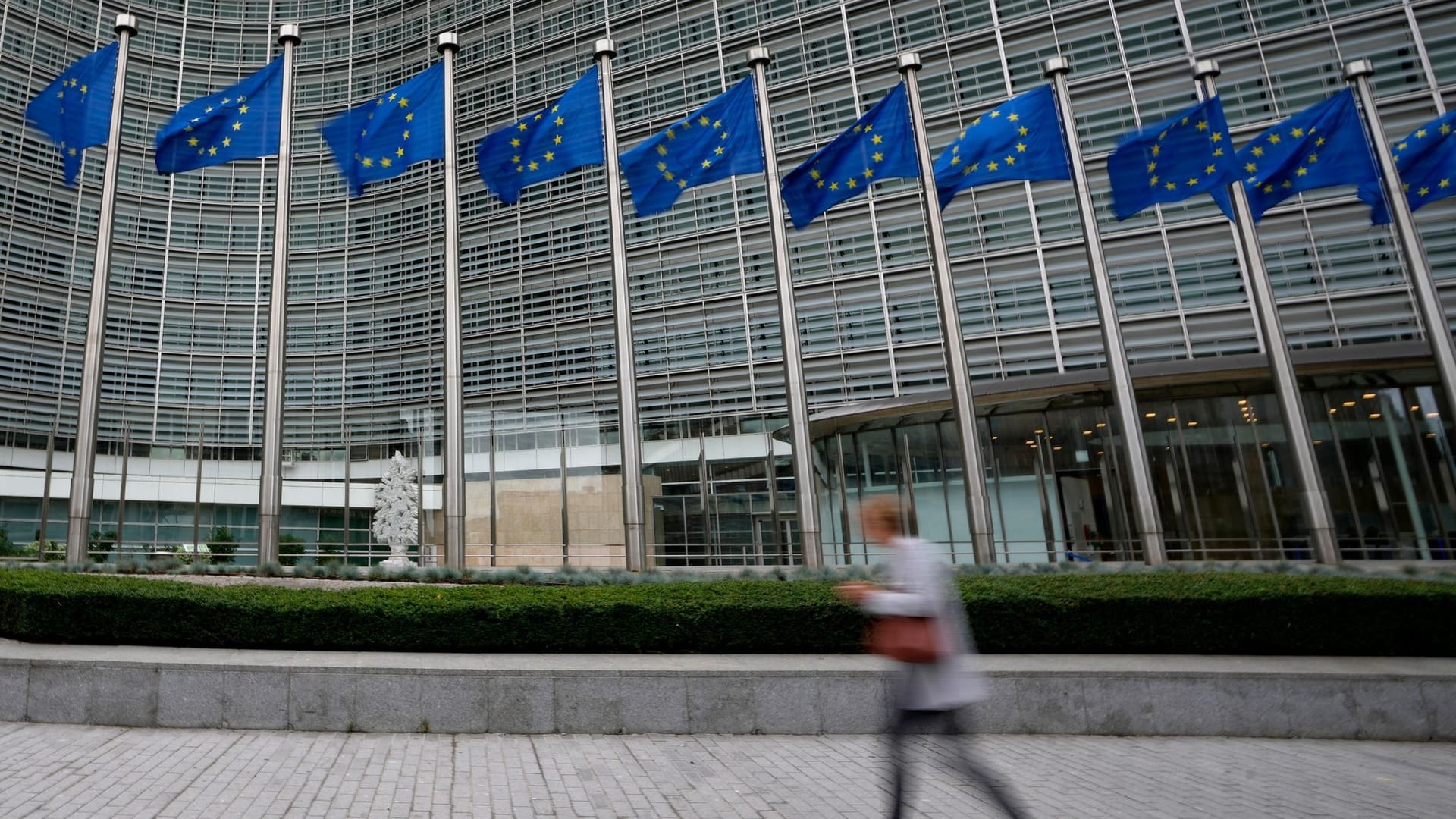 EU-Fahnen EU-Fahnen